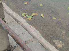 -西南政法大学(渝北校区)