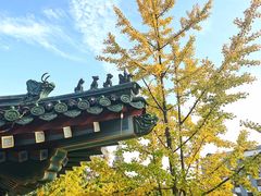 -阅江楼风景区