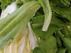 -芦月轩羊蝎子(北蜂窝店)