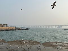 -星海广场