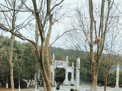 -仙山湖景区