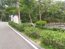 -佛灵湖水上乐园