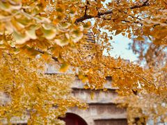 -北京石刻艺术博物馆(五塔寺)