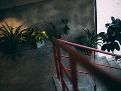 -腾爱熊猫咖啡生活馆(老东门店)