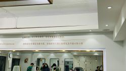 -镁连社·美联社