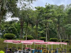 -福建鲤鱼洲酒店