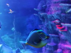 -沈阳海洋探索中心