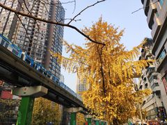 -大通冰室(重庆财富购物中心店)