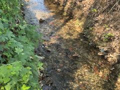 -林间山庄