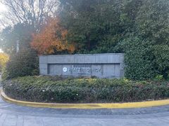 -上海崇明金茂凯悦酒店