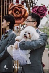 点击看大图 -美薇亭婚礼顾问