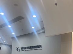 -御宝贝24h宠物医院·转诊中心·CT核磁血透中心(厦门总院)
