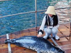 -西霞口神雕山野生动物世界