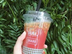 易燃易爆炸-Green Option(官舍店)