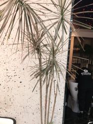 -丝念美发·专注烫染