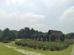 -上海滨江森林公园