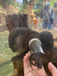 -Zoolung Zoolung动物主题公园(海信广场店)