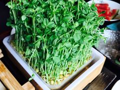 -捞王猪肚鸡火锅(昆山店)