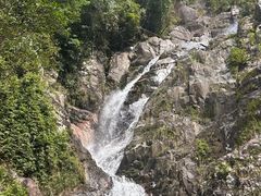 -海南霸王岭国家森林公园