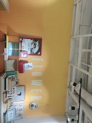 点击看大图 -木棉花亲子儿童摄影