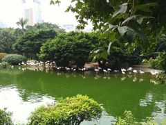 -九龙公园