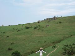 -大姆山草场