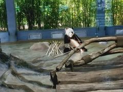 -海南热带野生动植物园