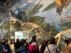 -自贡恐龙博物馆