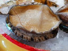 六头鲍鱼-捞围鲜·港式打边炉(海阳路店)