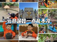 -呀路古热带植物园