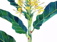 -信马画室 成人零基础到个人创作画室(亚运村店)