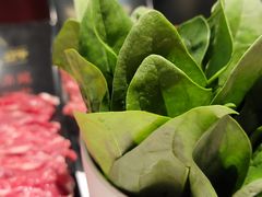 -今日炊牛·潮汕牛肉火锅(华采天地店)