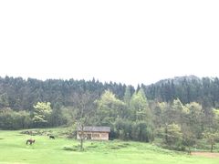 -武陵山森林公园
