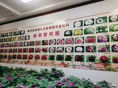 -神州牡丹园