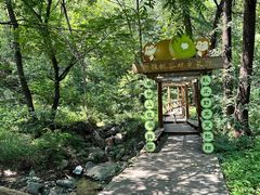 -大岭沟猕猴桃谷风景区