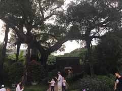 -牛岗山公园