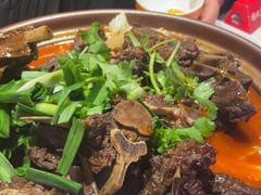 -杨氏青龙虾·羊蝎子(托乐嘉店)