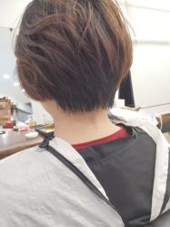 -程Studio