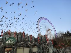 -大连森林动物园