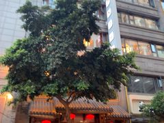 -龙抄手(春熙路总店)