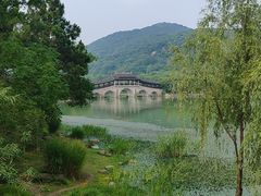 -长广溪湿地公园