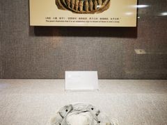 -南越王博物院(王宫展区)