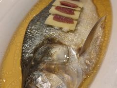清蒸鲥鱼-老洋房花园饭店(绍兴路店)