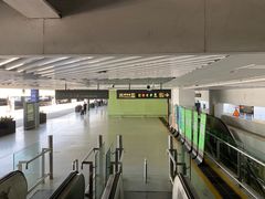 -上海浦东国际机场T1航站楼-P1停车场