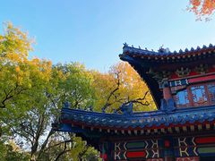 -灵谷景区