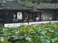 -上海醉白池公园