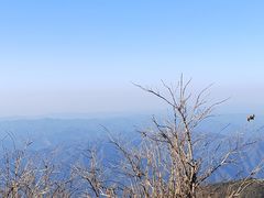 -大围山国家森林公园
