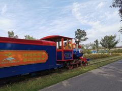 -永定河休闲森林公园