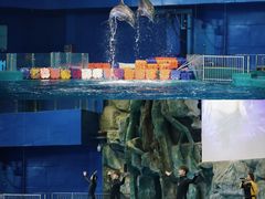 -威海华夏城景区