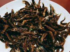-黄牛肉馆·皖南土菜